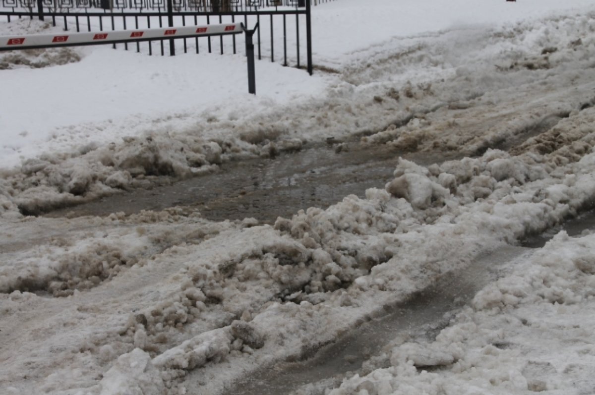    В Тверской области погода на выходных будет тёплой и не снежной