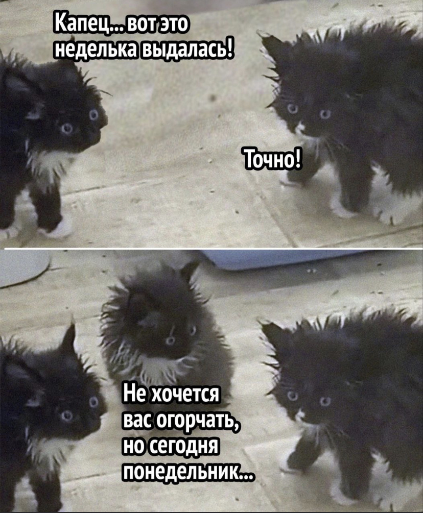 Мем из инета 