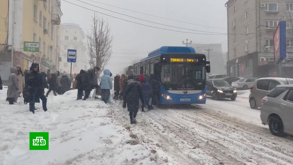 Синоптики обещают москвичам минусовую температуру и снег в новогоднюю ночь  | НТВ: лучшее | Дзен