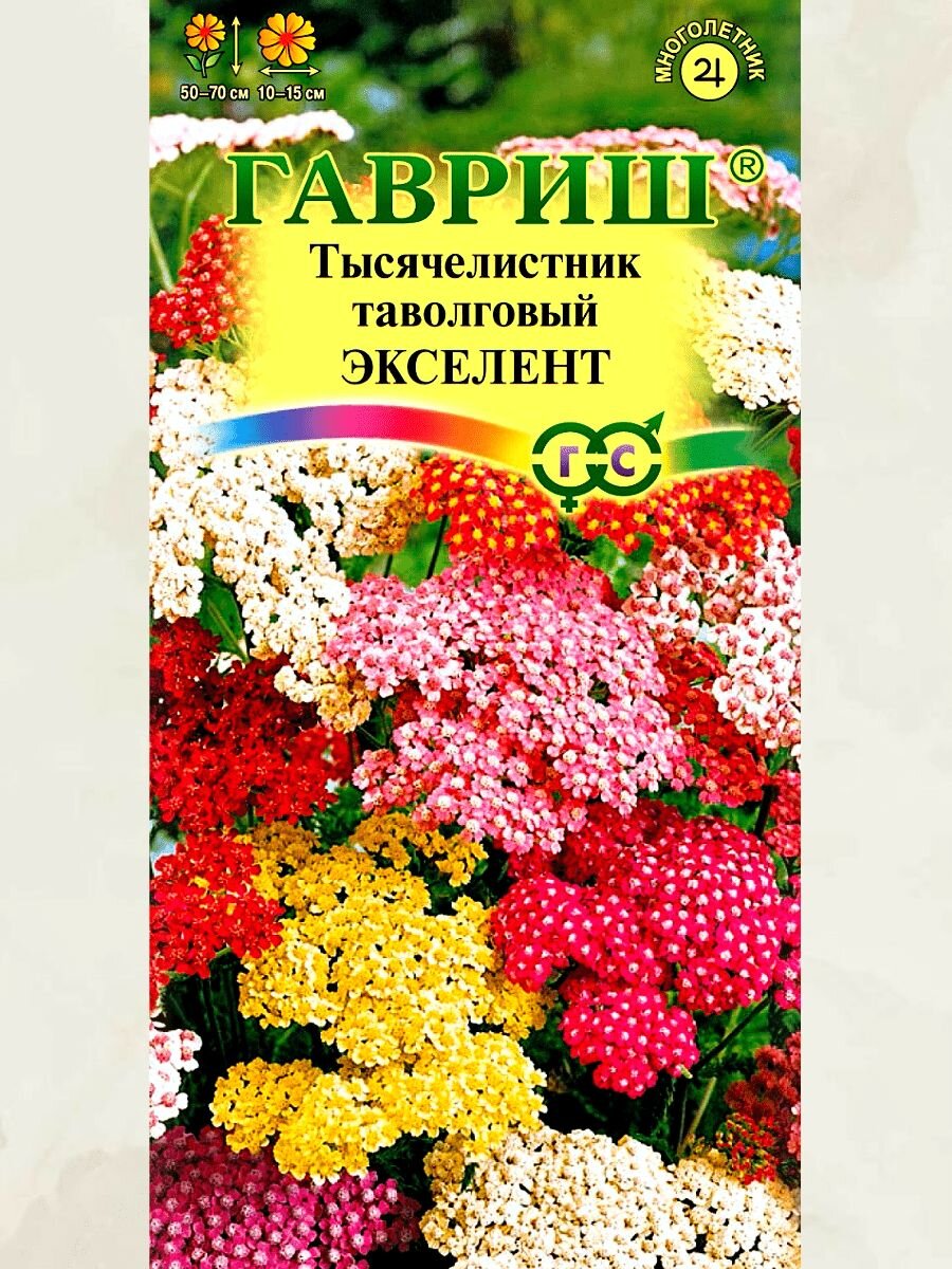Вот нашла в сети семена. Они самые разные по цвету. Красные у нас уже есть. Фото из свободного доступа.
