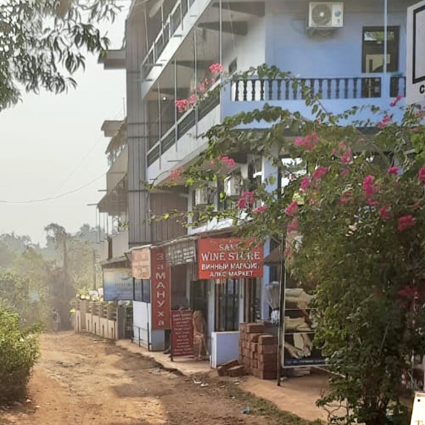 Все пытаются обмануть! Индия Гоа: цены на еду, фрукты, советы туристов