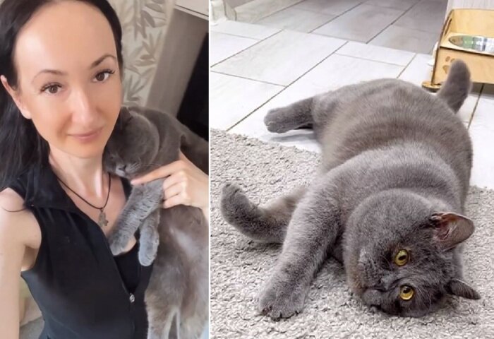 Как «вечно испуганный кот» из Ростова спас хозяйку от депрессии и стал ...