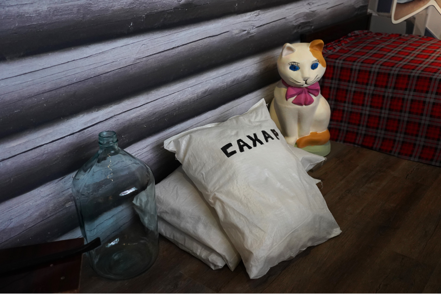    Выставка «Наши люди. Вселенная персонажей Леонида Гайдая» открылась в Музее кино (фото 2)