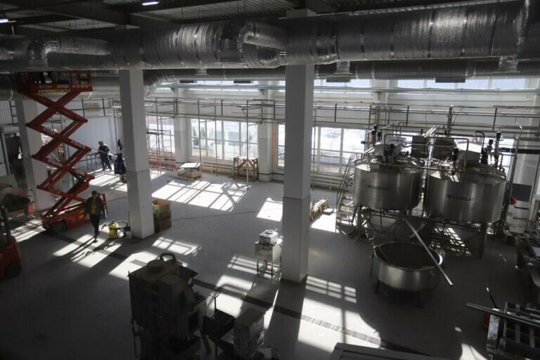    Возрождаем закрытые, строим новые. Денис Паслер — о развитии предприятий АПК Оренбуржья Андрей Севостьянов