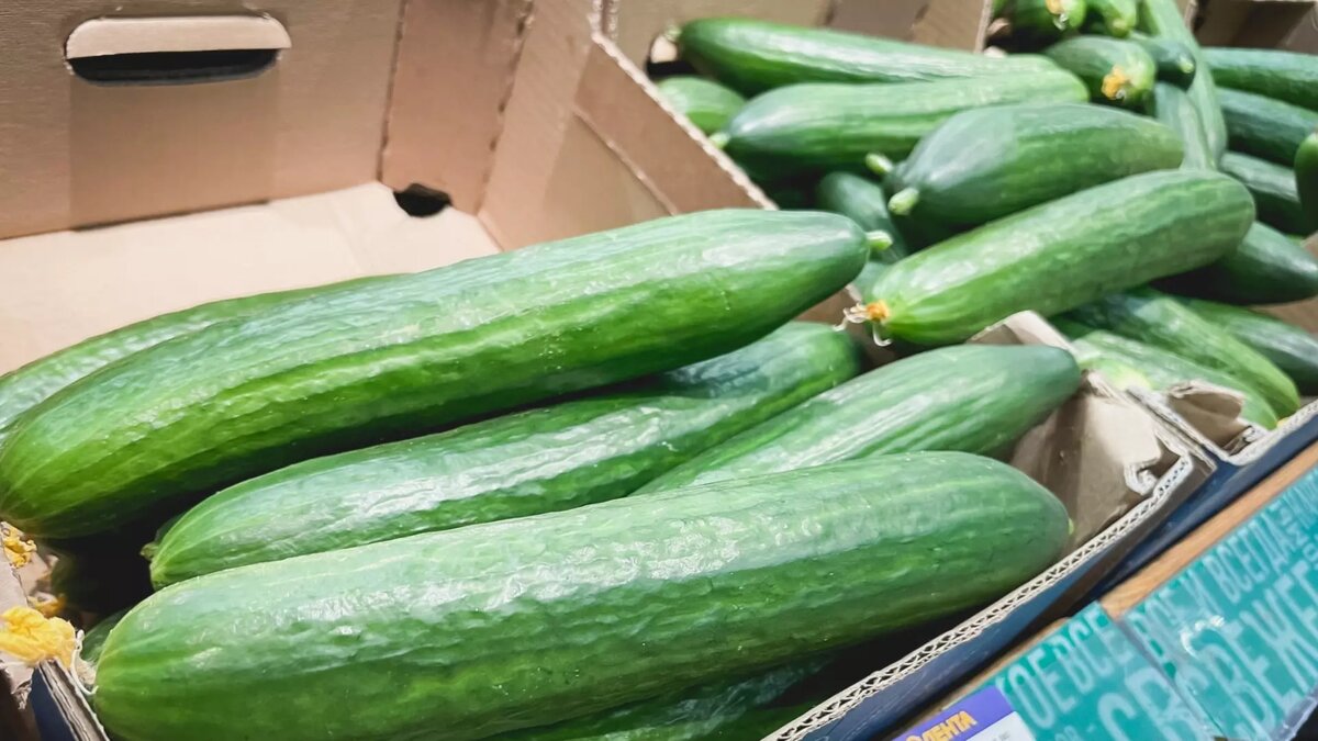     В Татарстане за неделю значительно выросли цены на некоторые продукты питания. Соответствующую статистику предоставили эксперты Татарстанстата.