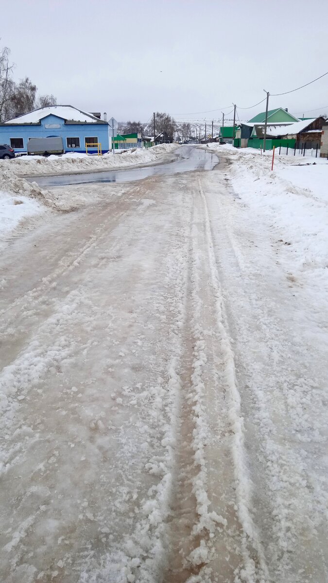 фото автора, декабрьская оттепель