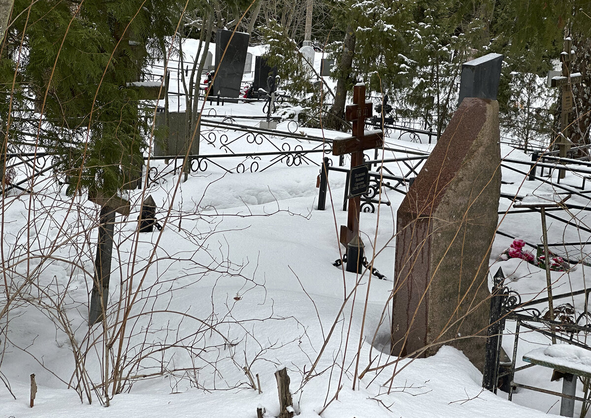 Фото: Московские Ведомости