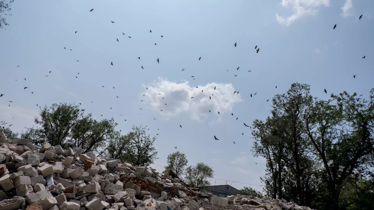     В Ростове-на-Дону балкон одного из зданий в центральной части города начал осыпаться на пешеходную зону, сообщили горожане в соцсетях.