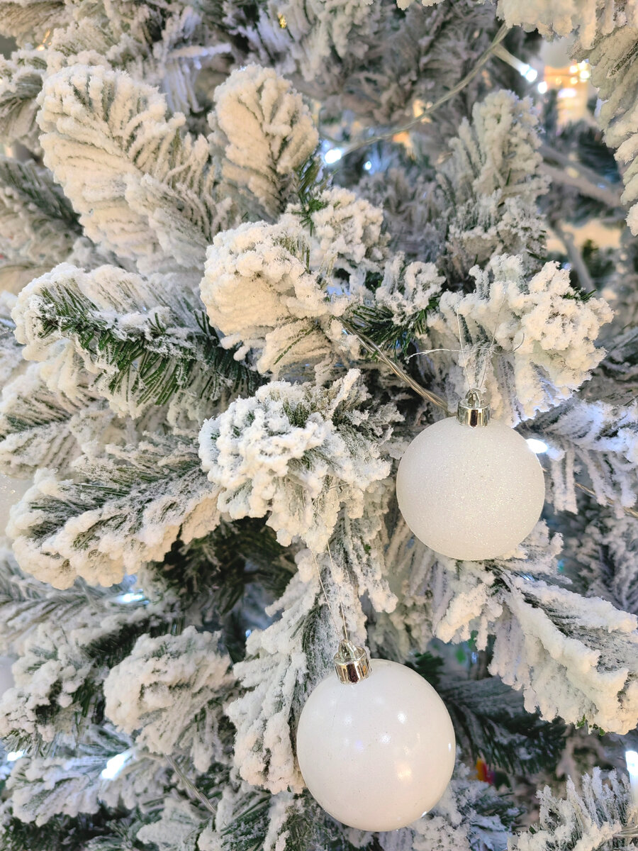 Елка не наша. Еще не наряжали