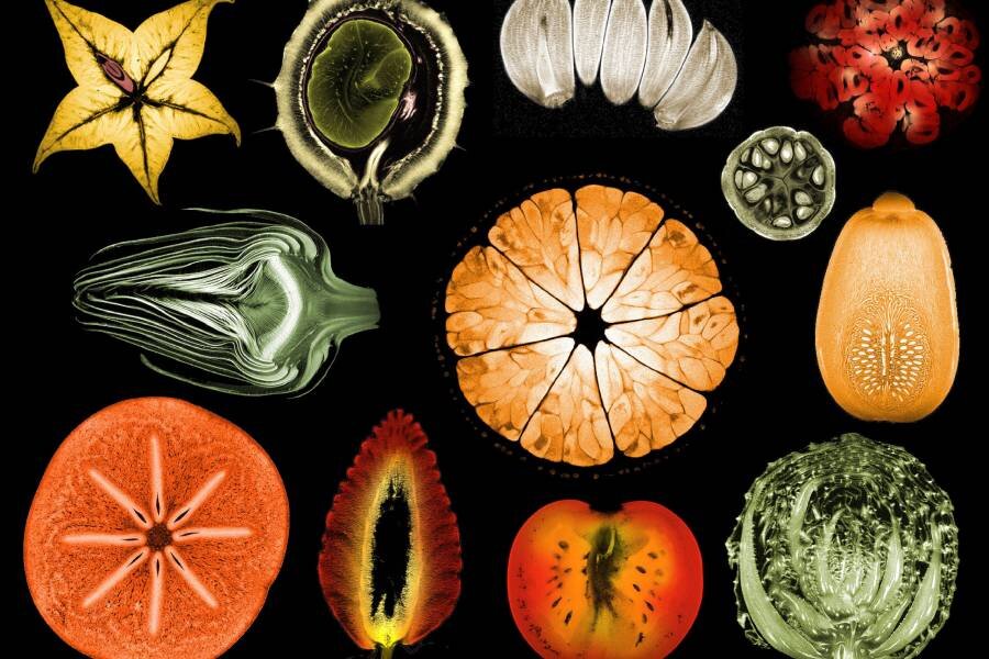 Овощи и фрукты на МРТ Фото: Alexandr Khrapichev, University of Oxford / wellcomeimages.com