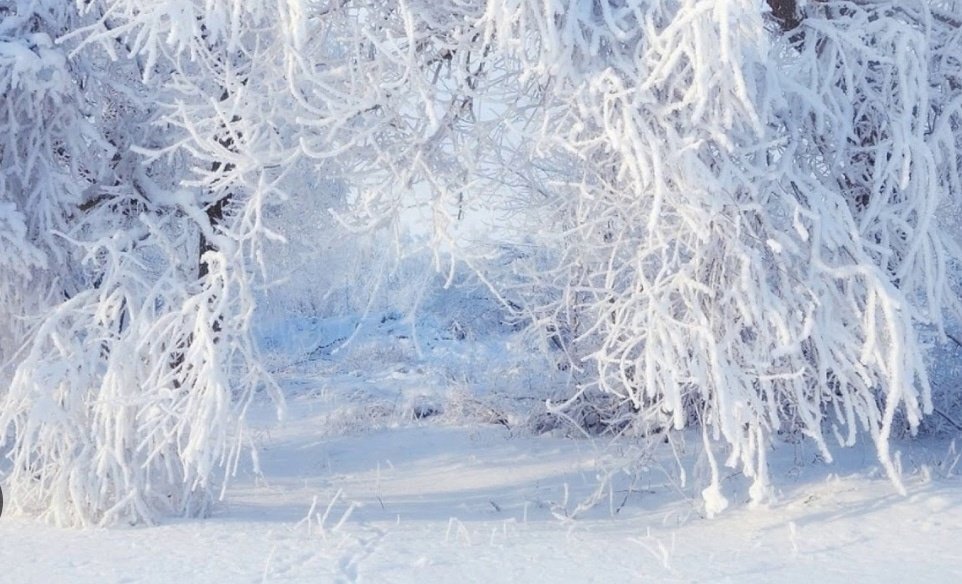 Картинка из открытого доступа