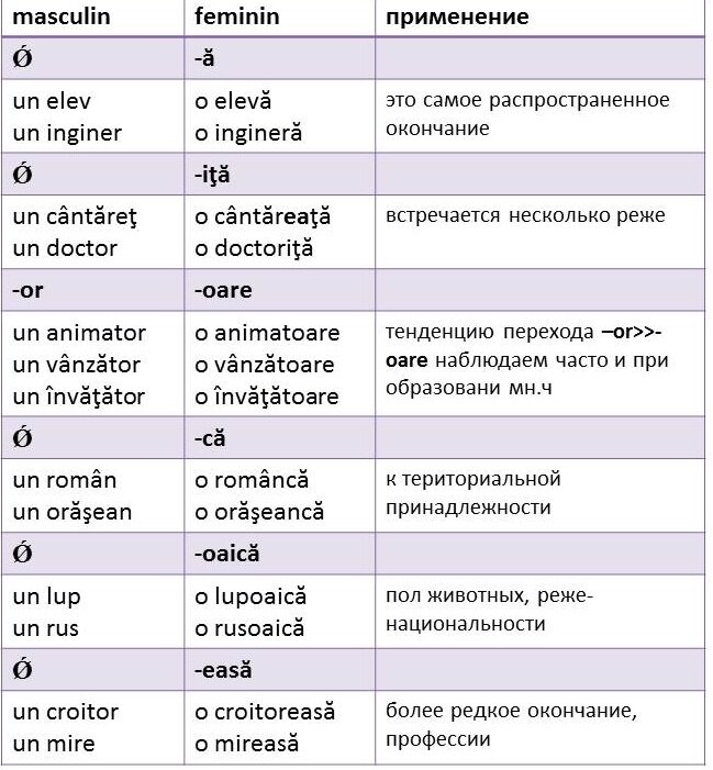 Как лучше всего объяснить род имён существительных с мягким знаком на конце?