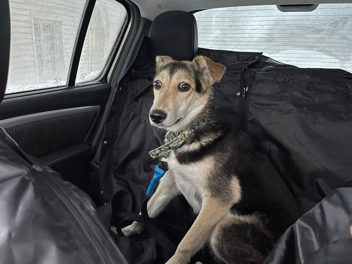 У Габи о-о-о-очень испуганные глазки!