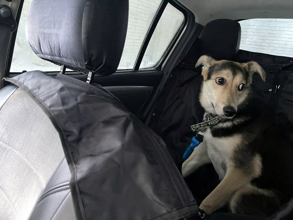 А что я сделала такого?