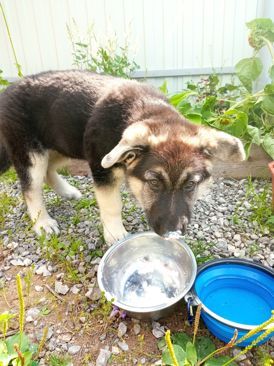Кто работает, тот ест!