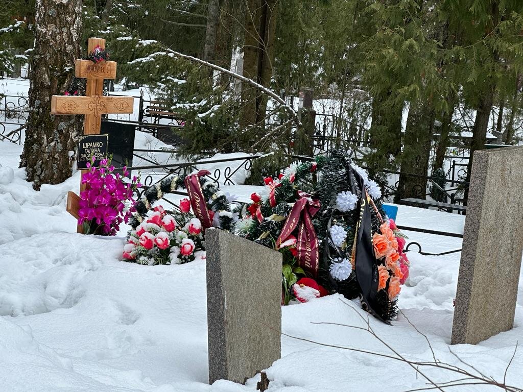    В Подмосковье посещать кладбища зимой можно, но осторожно