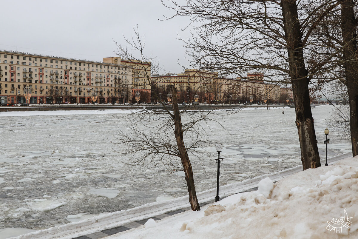 На этой неделе у нас оттепель, вследствие чего неприглядные пейзажи и хмарь