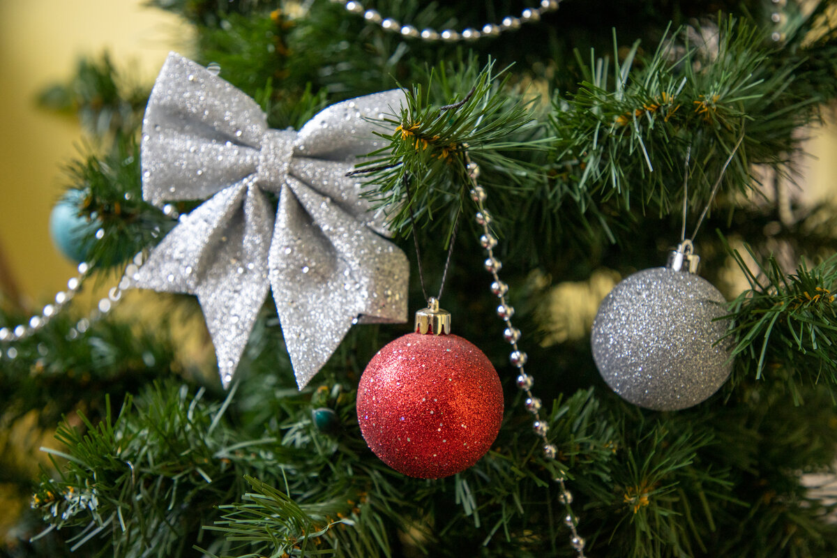 Фото: Тульская служба новостей