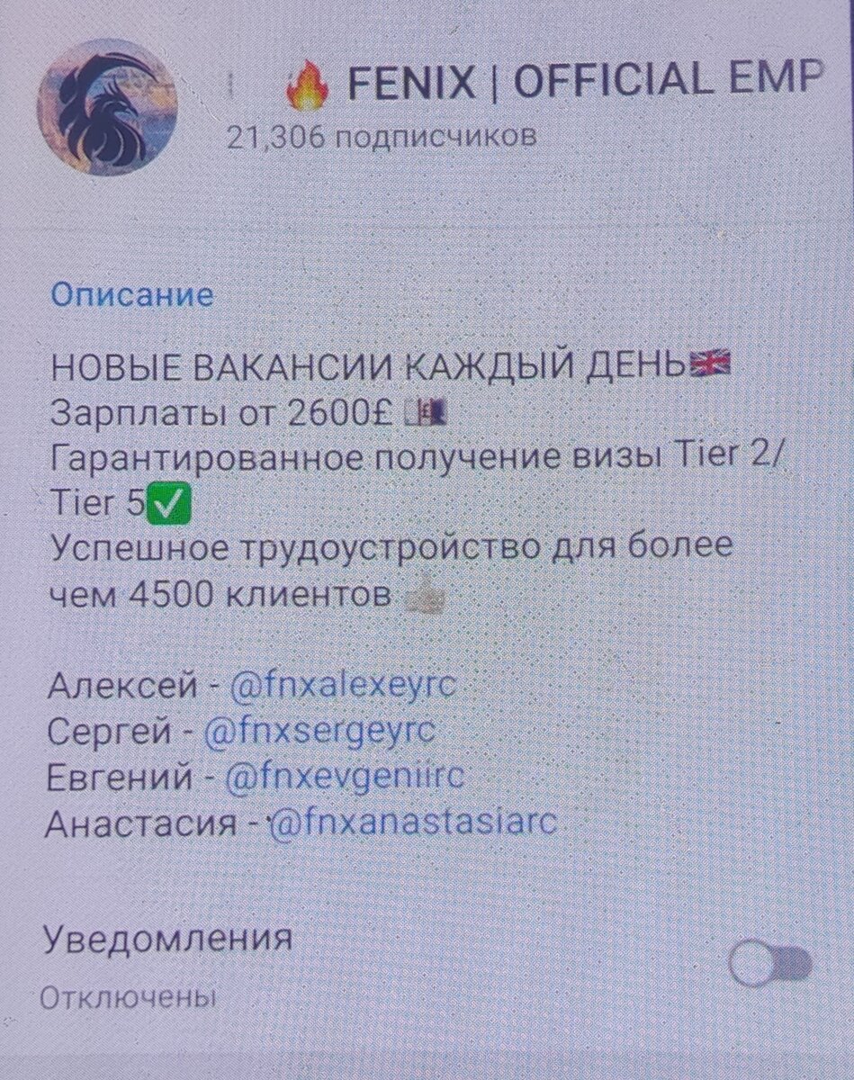 Это - тот самый телеграм канал. Сделать скриншот не удалось, поэтому было решено сделать фотографию через другой телефон.