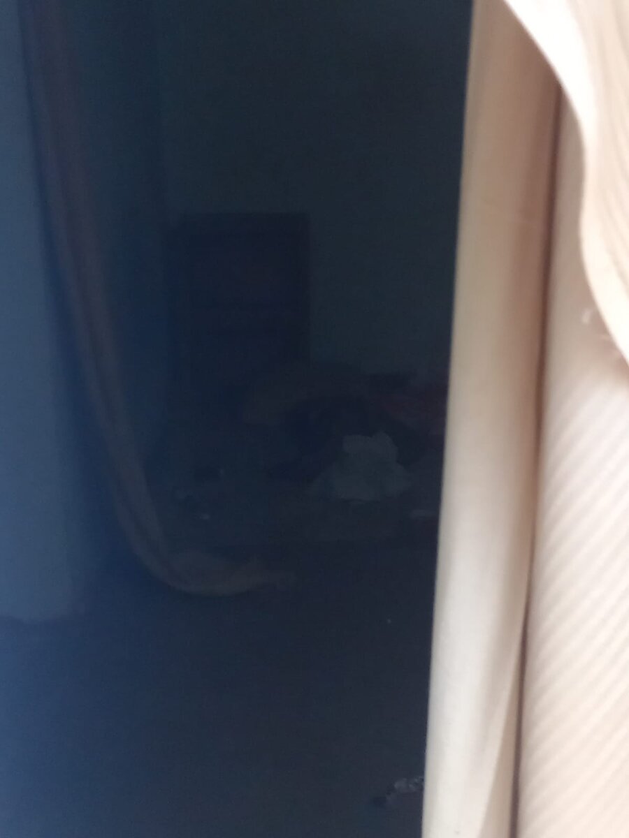 из личных фото автора (фото 2)