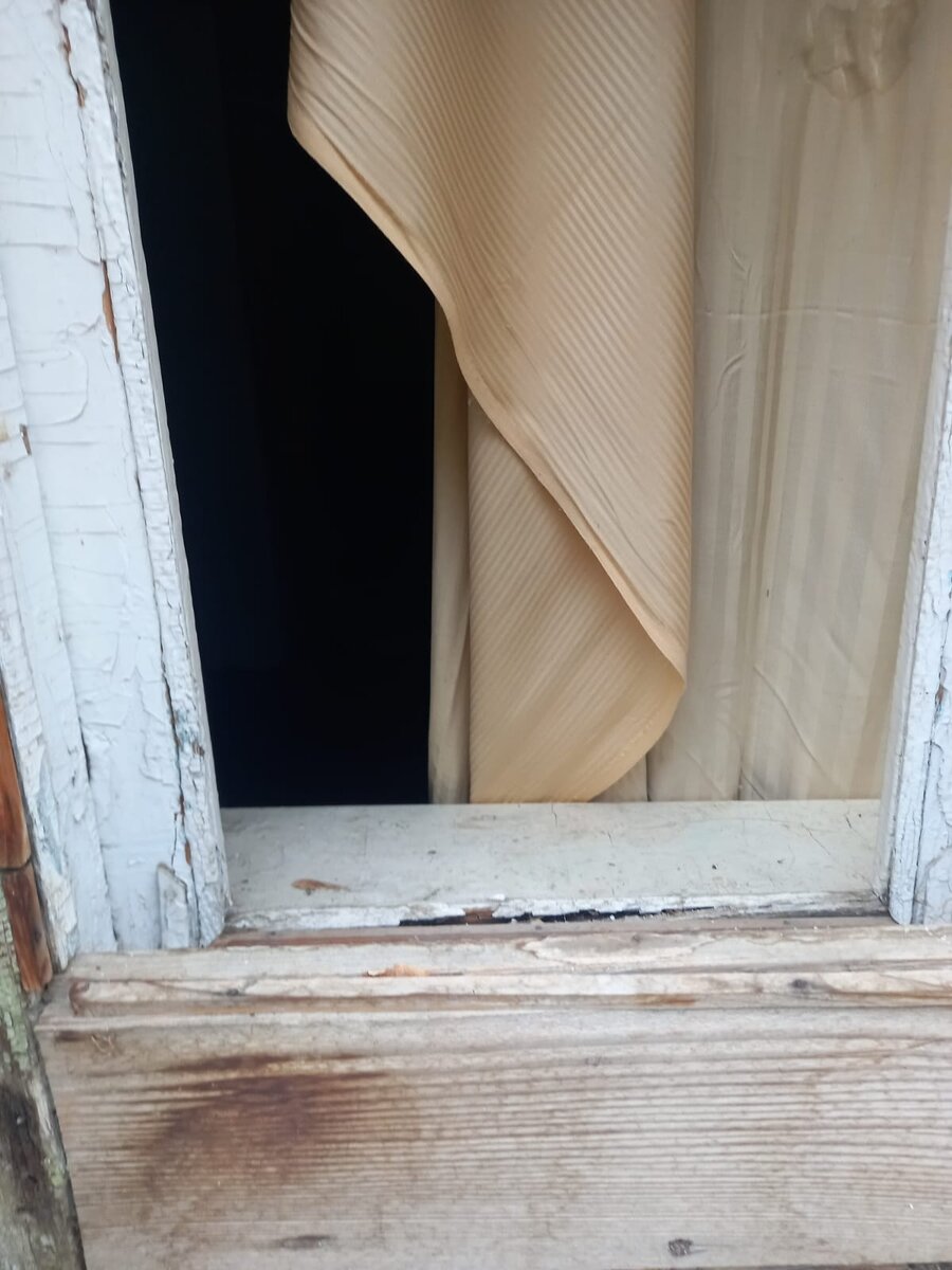 из личных фото автора (фото 3)