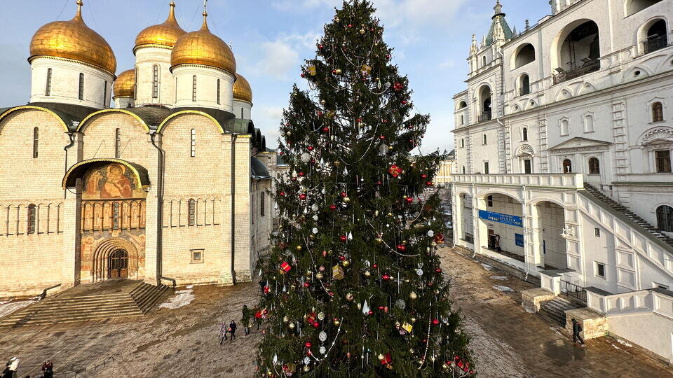 Фото: © ТАСС/Валерий Шарифулин