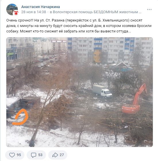 Сообщение из группы ВК "Волонтёрская помощь бездомным животным"