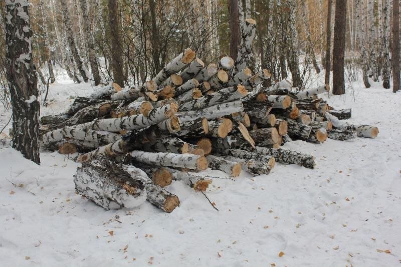 Районные власти предлагают кроме сбора валежника, разрешить населению заготавливать сухостой, ветровал и горельник.-2