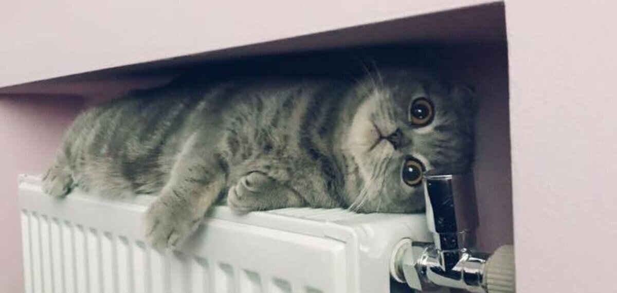 Источник: dzeninfra.ru