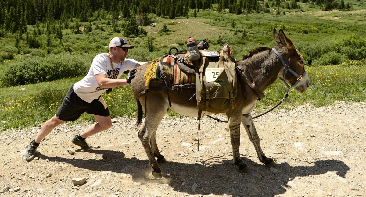 Можно сколько угодно хотеть стать богатым, но если есть противоречие дело с места не сдвинется