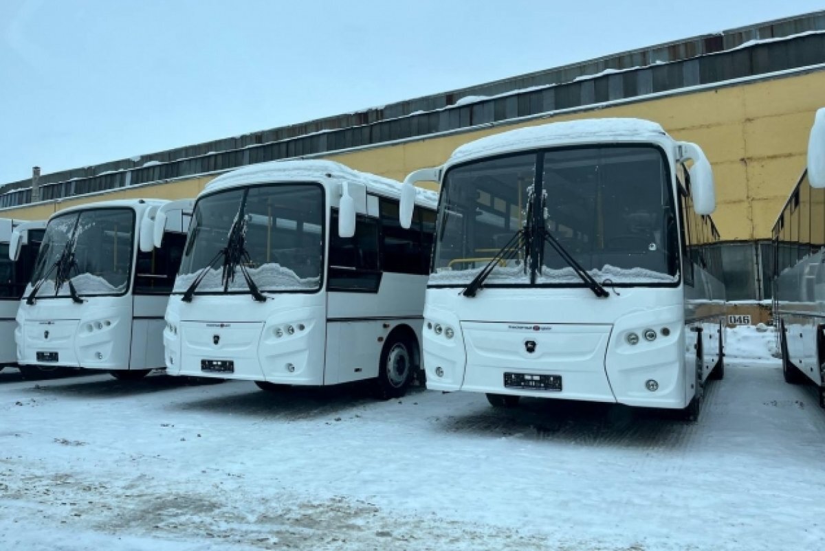    В Ярославской области новые автобусы выйдут на междугородние маршруты