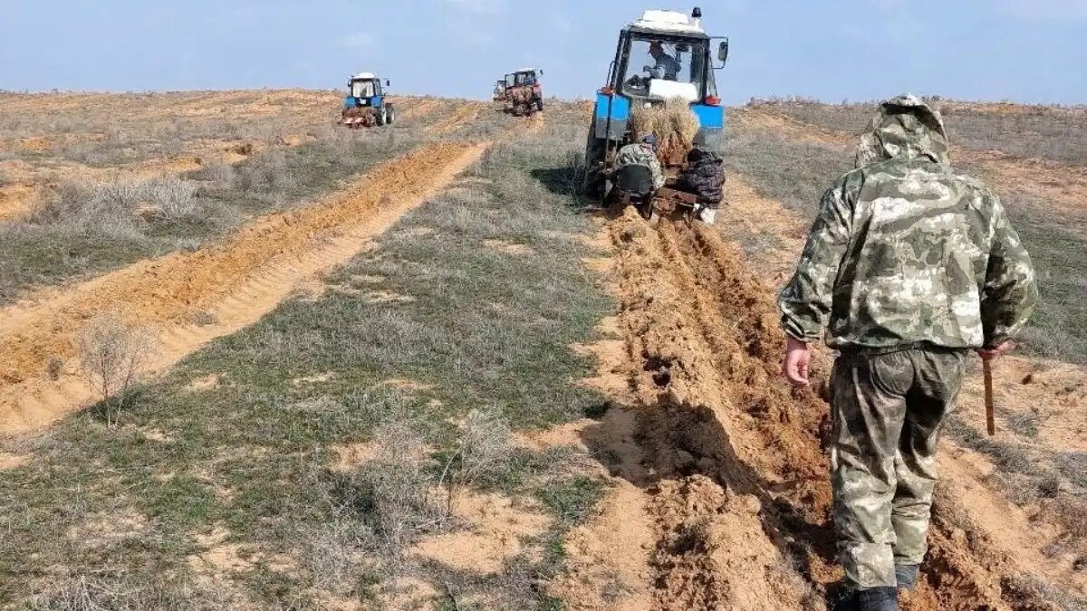 Фото:Минcельхоз Республики Калмыкия На борьбу с опустыниванием в Калмыкии в 2024 году предусмотрено 137,5 млн.руб.