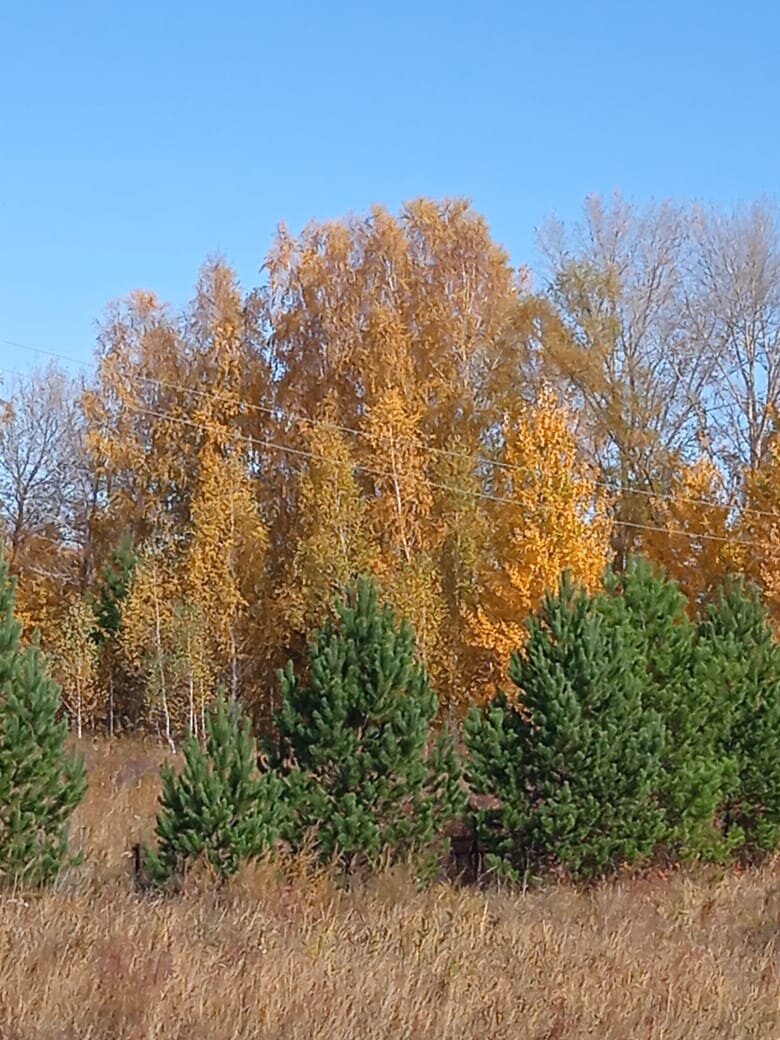 Фото Галины Овчаровой
