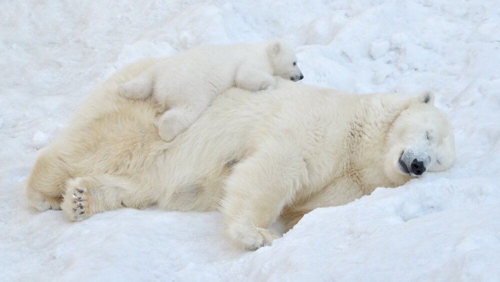    Фото: Shutterstock
