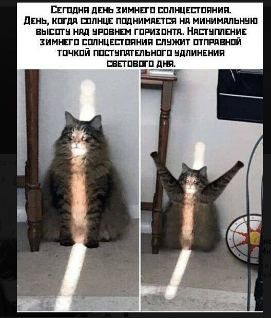 фото скрин автора
