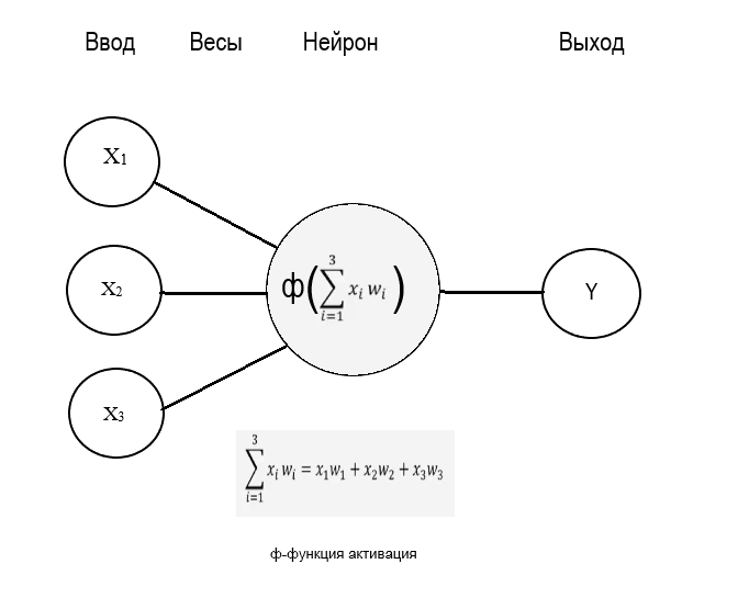Структура Перцептрона 
