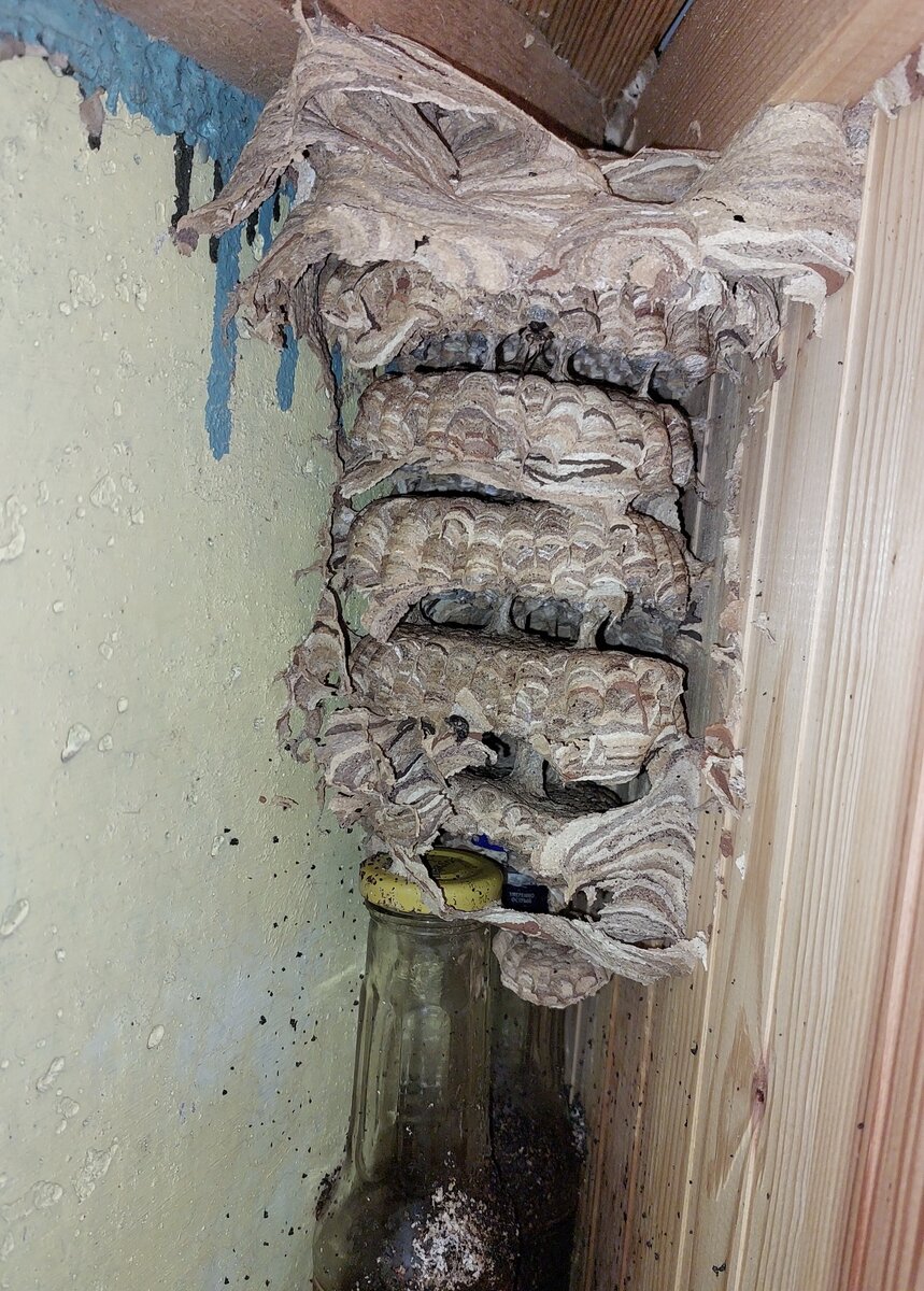 Начало сноса незаконной постройки 