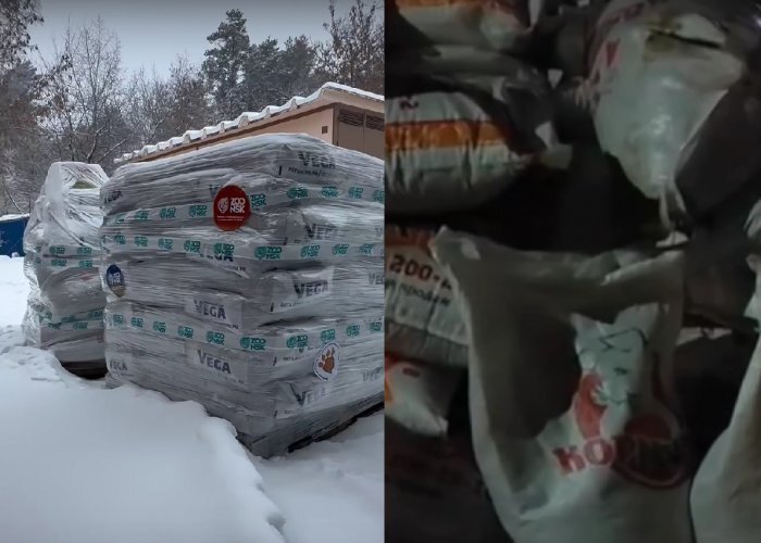 Кадр из видео Новосибирского зоопарка