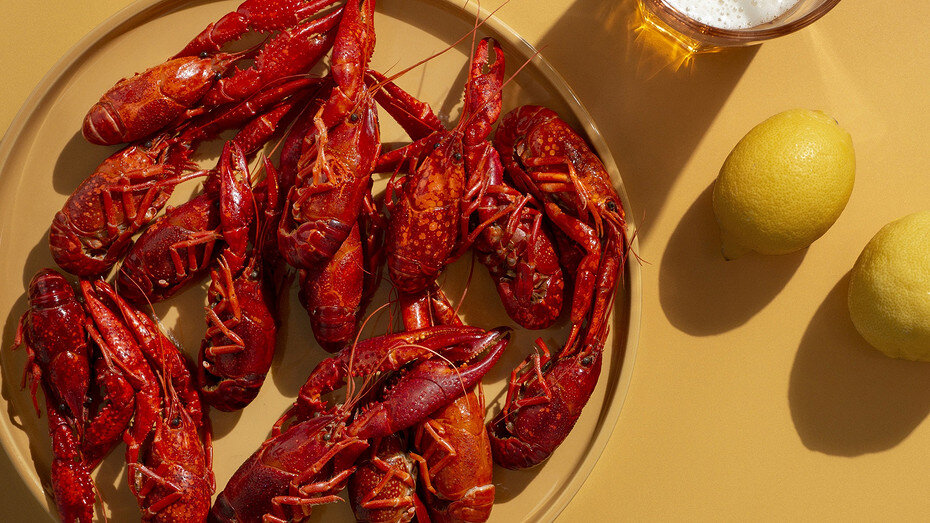     Источник здесь и далее: freepek.com