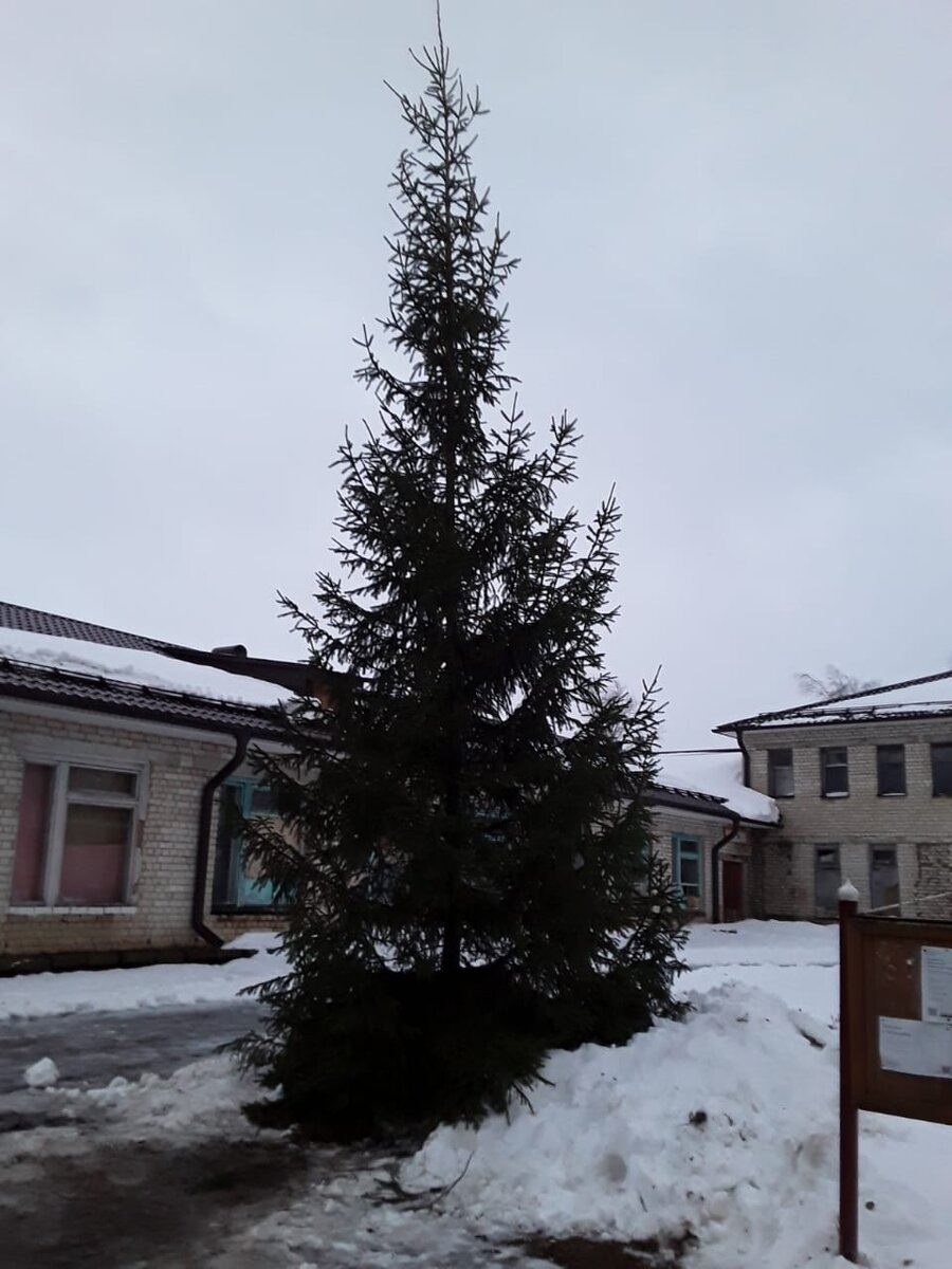 Хороша!Скоро заиграет огнями!🎄❄🎅☃️❄