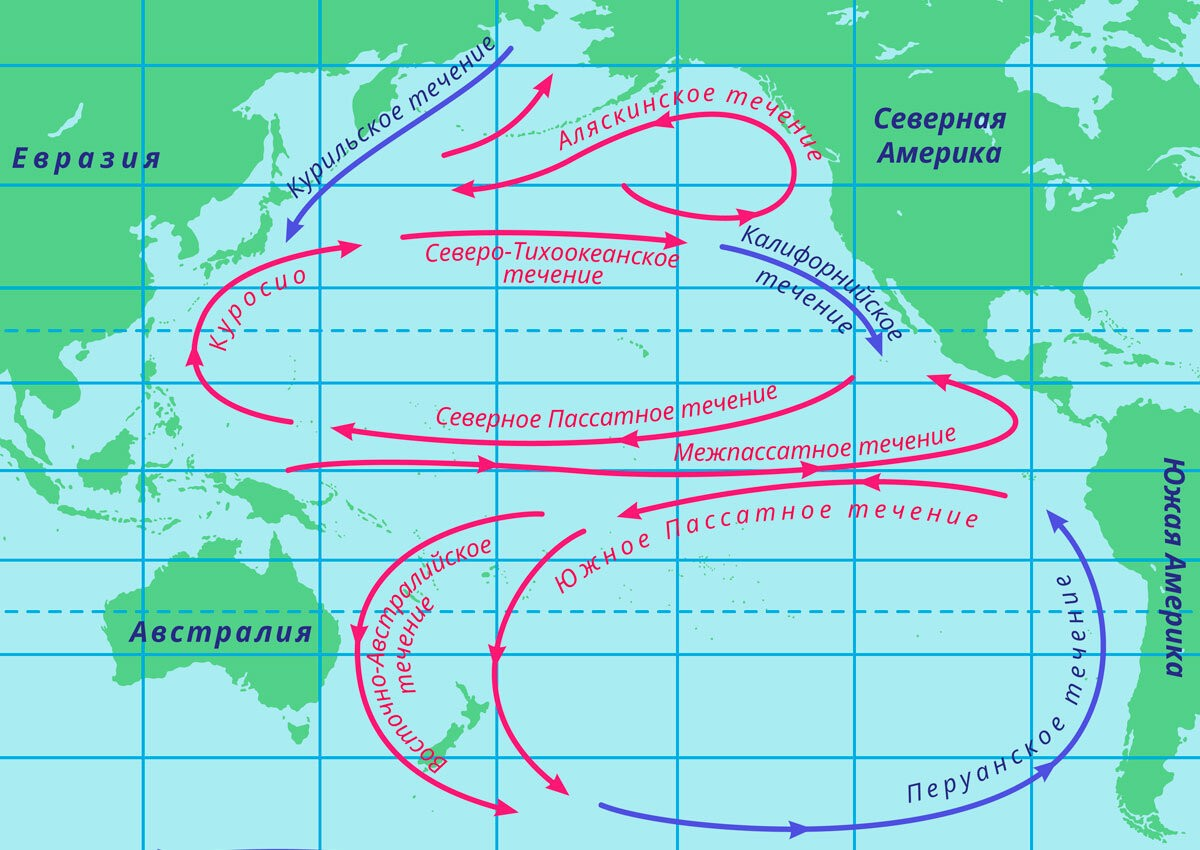 Течение будней. Схема течений Тихого океана. Северо Тихоокеанское течение на карте Северной Америки. Северное пассатное течение на карте. Схема поверхностных течений Тихого океана.