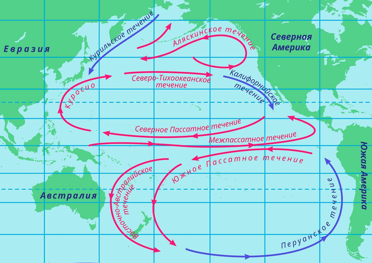 Течения в морях и океанах. Схема течений Тихого океана. Северо Тихоокеанское течение на карте Северной Америки. Холодные течения Тихого океана. Северное пассатное течение на карте.