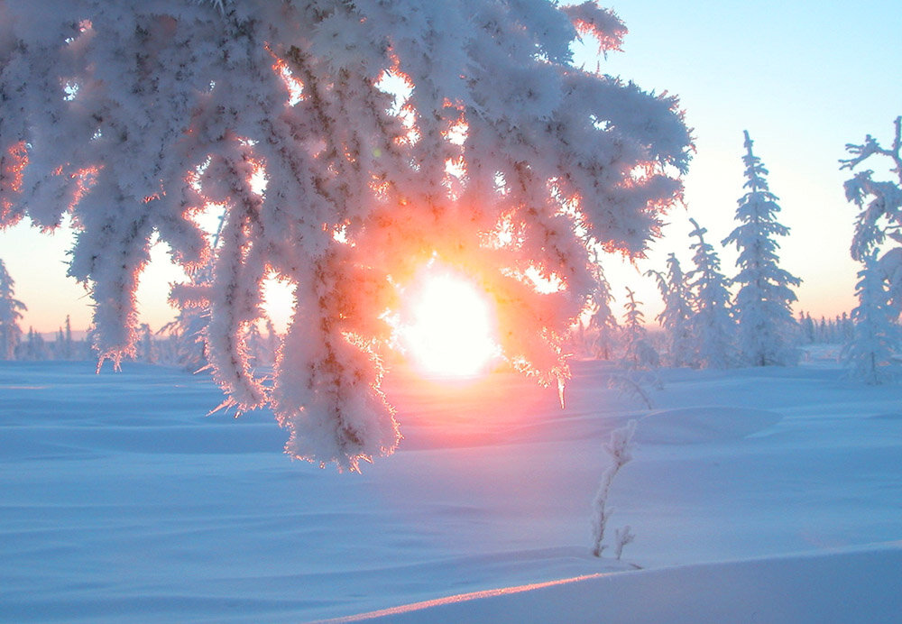 Фото из интернета