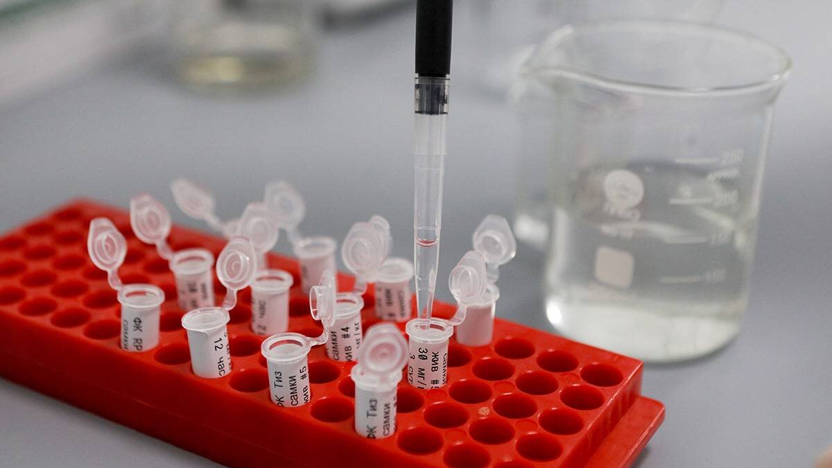    Фото: Андрей Никеричев / АГН Москва