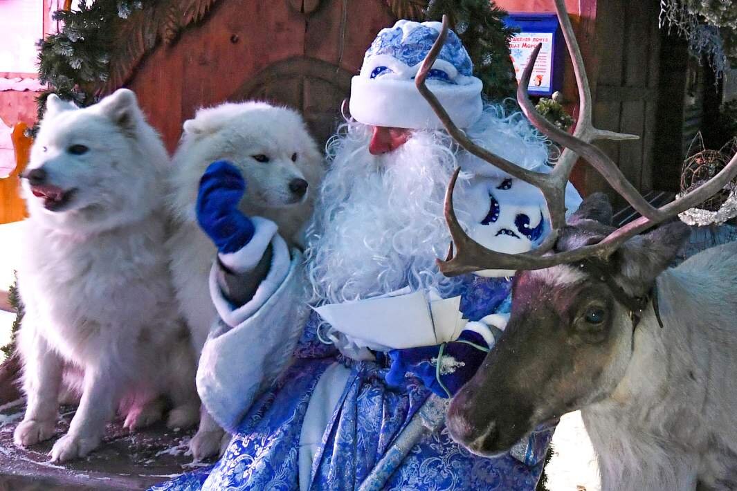 Фото: РИА Новости/Илья Наймушин