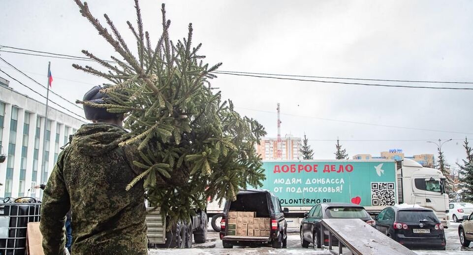     Евгения Демина