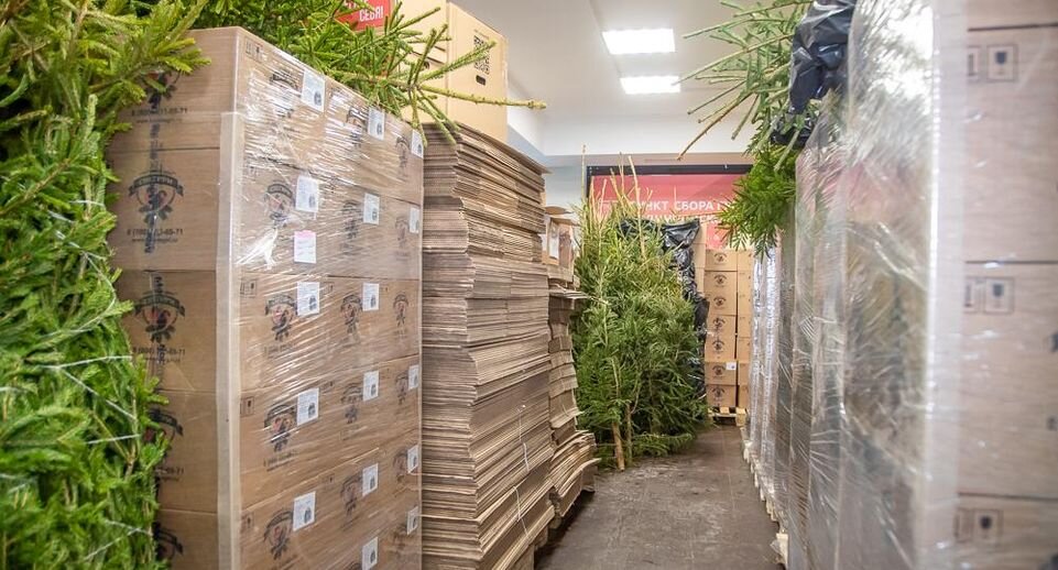     Евгения Демина