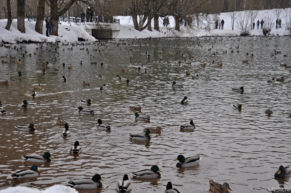 Фото из интернета