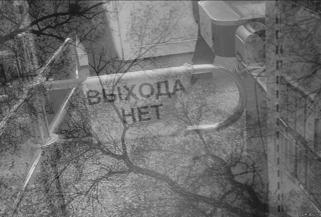 ветки чёрно белые. тлен деревья. тлен деревья. безысходность. трагическая безысходность.