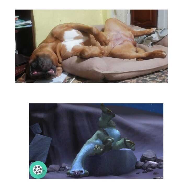 .